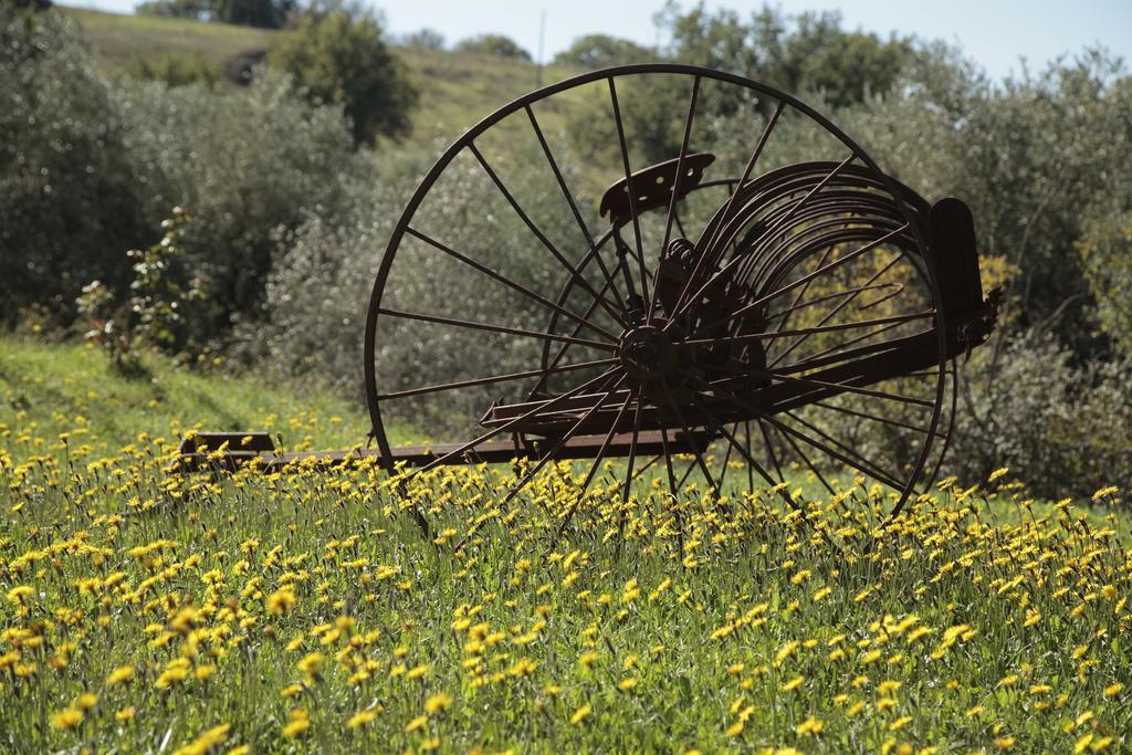 Agriturismo San Giusto مونتيانو المظهر الخارجي الصورة
